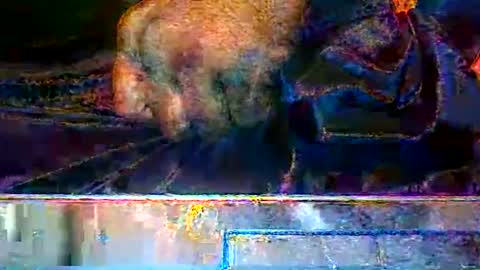 KENDREKO online show from March 2026 09:37:02 AM