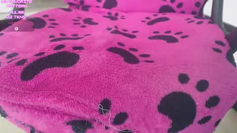 Kevin online show from February 2026 05:00:02 PM