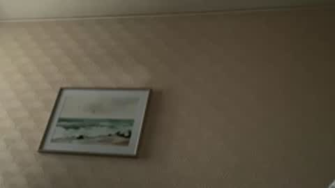 Snapshot of khelt chatting on February 2026 01:47:01 PM khelt online show from February 2026 01:47:01 PM