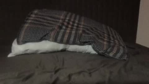 Snapshot of kiki3526 chatting on March 2026 08:48:02 PM kiki3526 online show from March 2026 08:48:02 PM