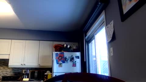 killbloodclotbill online show from February 2026 06:06:02 PM