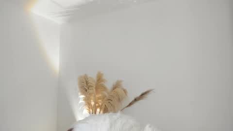 Snapshot of kim_murphy chatting on October 2025 12:28:02 PM Kim Murphy online show from October 2025 12:28:02 PM