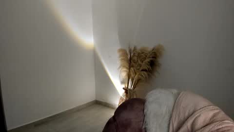 Snapshot of kim_murphy chatting on November 2025 01:00:02 PM Kim Murphy online show from November 2025 01:00:02 PM