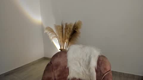 Snapshot of kim_murphy chatting on November 2025 03:56:02 PM Kim Murphy online show from November 2025 03:56:02 PM