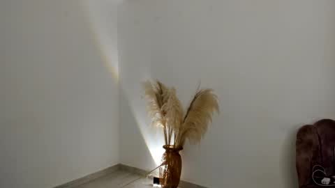 Snapshot of kim_murphy chatting on March 2026 06:13:02 PM Kim Murphy online show from March 2026 06:13:02 PM