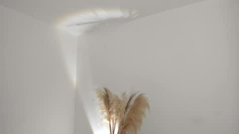 Snapshot of kim_murphy chatting on April 2026 11:11:01 AM Kim Murphy online show from April 2026 11:11:01 AM