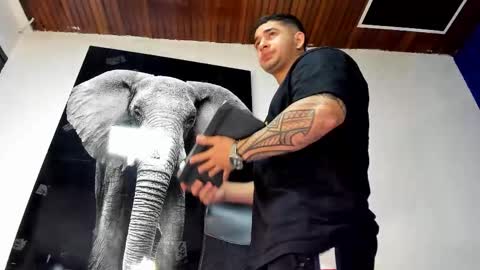 Angel Falconer online show from November 2025 12:35:01 AM