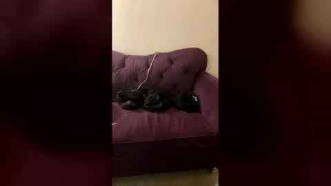 Snapshot of kingecstasyxxxddd chatting on March 2026 08:29:02 AM kingecstasyxxxddd online show from March 2026 08:29:02 AM