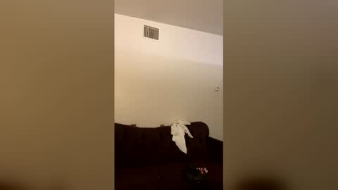 Snapshot of kingecstasyxxxddd chatting on March 2026 03:56:01 AM kingecstasyxxxddd online show from March 2026 03:56:01 AM