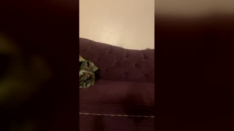 Snapshot of kingecstasyxxxddd chatting on March 2026 04:54:01 PM kingecstasyxxxddd online show from March 2026 04:54:01 PM