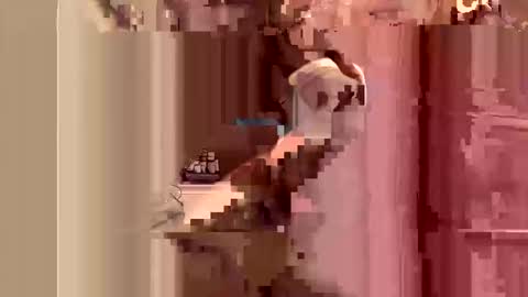 Snapshot of kingslimfresh chatting on March 2026 01:10:01 AM kingslimfresh online show from March 2026 01:10:01 AM