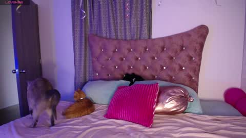  Sara  online show from December 2024 10:16:02 PM