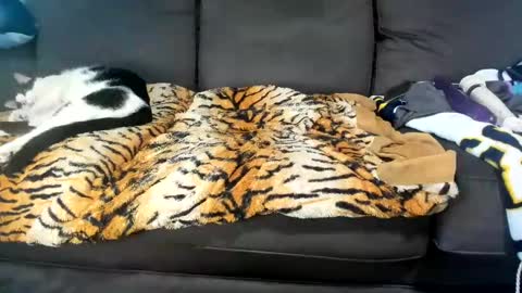Snapshot of kinkykortney chatting on February 2025 06:17:01 PM Kinky online show from February 2025 06:17:01 PM
