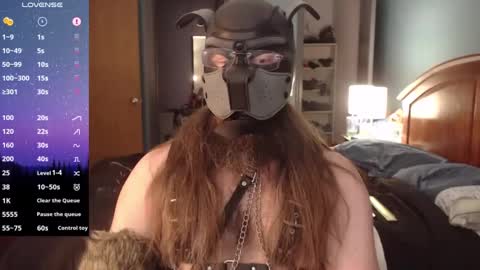 kinkywolf87 online show from December 2024 05:04:01 PM