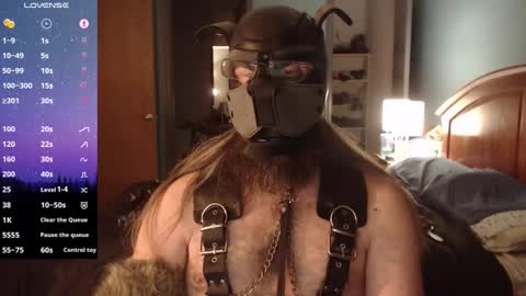 kinkywolf87 online show from December 2024 07:05:02 AM