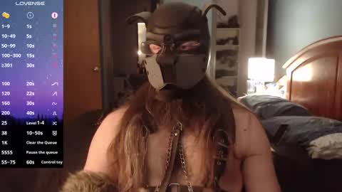 kinkywolf87 online show from December 2024 07:04:02 PM