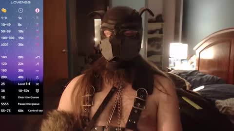 kinkywolf87 online show from December 2024 07:12:01 AM