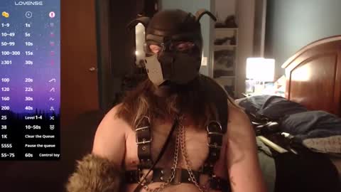 kinkywolf87 online show from January 2025 01:18:01 AM