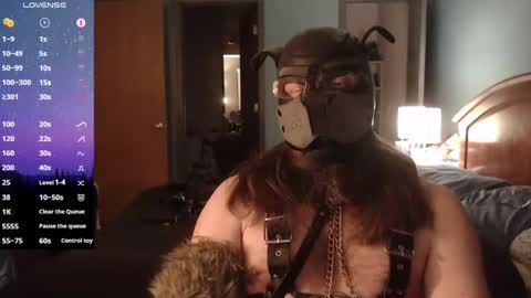 kinkywolf87 online show from February 2025 08:24:01 AM