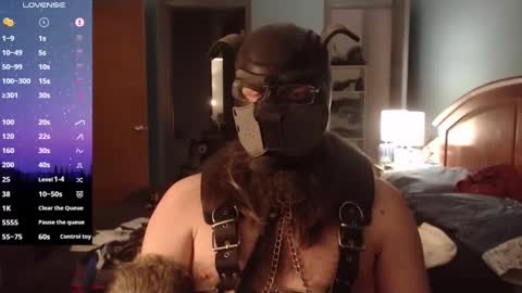 kinkywolf87 online show from February 2025 05:51:02 AM