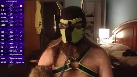 kinkywolf87 online show from October 2025 05:08:01 AM