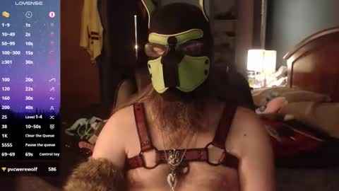 kinkywolf87 online show from May 2026 12:27:01 AM