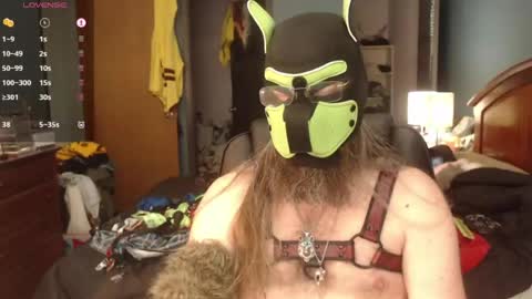 Snapshot of kinkywolf87 chatting on June 2026 07:22:02 PM kinkywolf87 online show from June 2026 07:22:02 PM