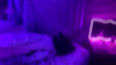 Snapshot of kissahsins chatting on January 2026 03:09:01 AM Kissah Kreampuff online show from January 2026 03:09:01 AM