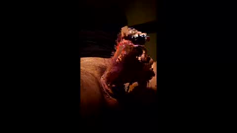 Kitkat loco online show from January 2026 08:36:02 PM