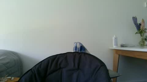 Snapshot of kitosssss chatting on December 2024 03:37:01 PM Steve Cocks online show from December 2024 03:37:01 PM