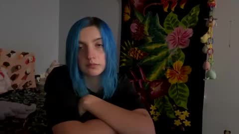 Snapshot of kitten4sale666 chatting on December 2024 07:54:02 AM Kitty online show from December 2024 07:54:02 AM