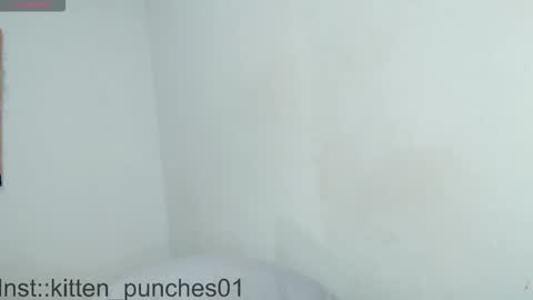Snapshot of kitten_punches02 chatting on November 2025 03:08:02 AM kitten_punches02 online show from November 2025 03:08:02 AM