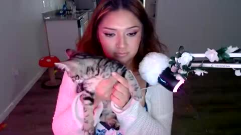 kittengonewild online show from May 2026 04:00:01 PM