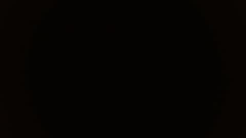 KITTY online show from November 2025 01:01:02 PM