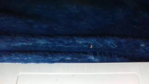 ana online show from January 2025 01:13:01 PM