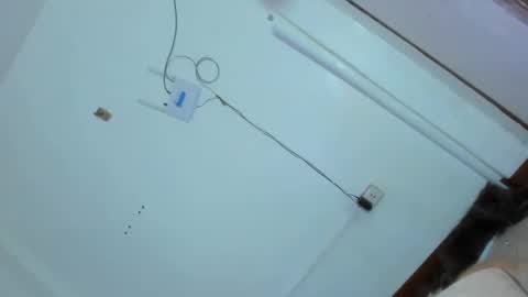 Snapshot of kittylickerfucker69 chatting on February 2025 02:47:02 AM Grace online show from February 2025 02:47:02 AM