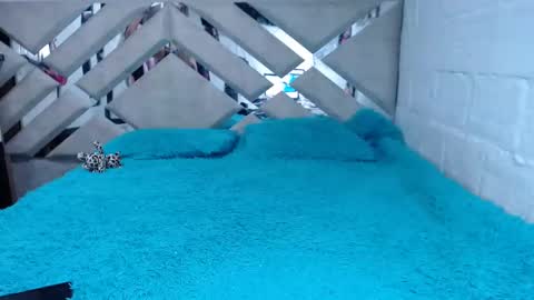 Snapshot of kittyzevee_ chatting on February 2025 01:11:01 AM kittyzevee_ online show from February 2025 01:11:01 AM