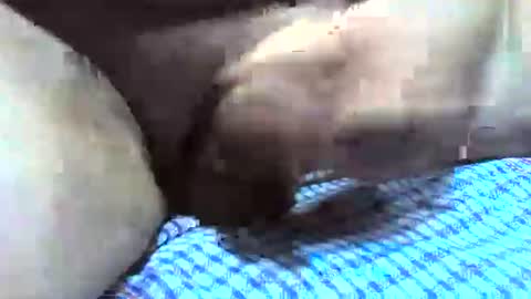 Snapshot of klok8230 chatting on December 2025 02:38:01 AM klok8230 online show from December 2025 02:38:01 AM