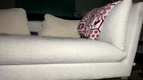 Snapshot of knautyknight chatting on October 2025 03:27:02 AM knautyknight online show from October 2025 03:27:02 AM