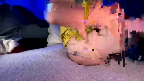 knautyknight online show from March 2026 11:38:01 PM