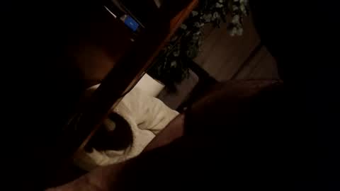 Snapshot of koekerdt chatting on January 2025 11:35:01 PM koekerdt online show from January 2025 11:35:01 PM