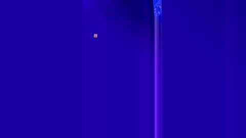 korysmith568 online show from January 2026 03:09:01 AM