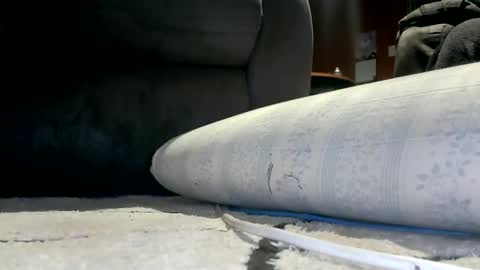 kpxrated online show from February 2026 05:42:02 PM