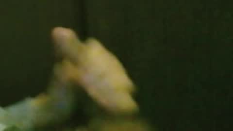 kren565656 online show from October 2025 08:26:02 AM