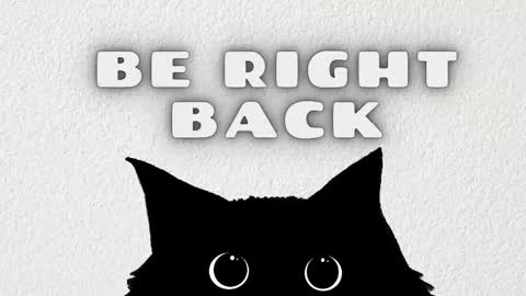   online show from February 2026 03:56:02 AM