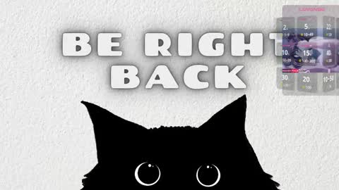   online show from February 2026 03:24:01 AM