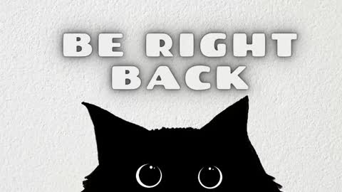   online show from March 2026 03:12:01 AM