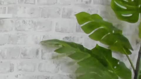 Snapshot of kristinesmith chatting on December 2024 09:45:02 AM Kristi online show from December 2024 09:45:02 AM