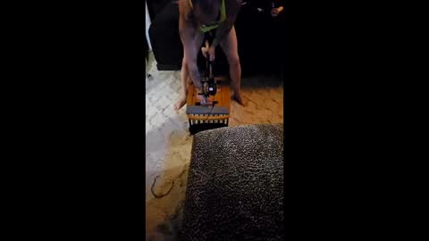 krystltymeup online show from March 2026 11:00:02 PM