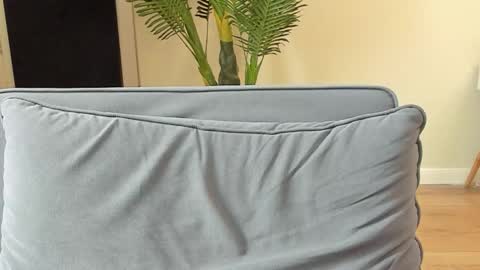 Kyle online show from November 2025 12:16:01 PM